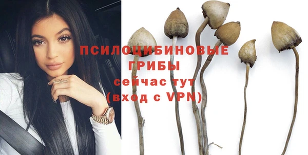spice Семикаракорск