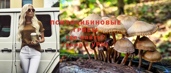соль курить ск Нязепетровск