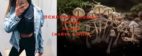 mix Няндома