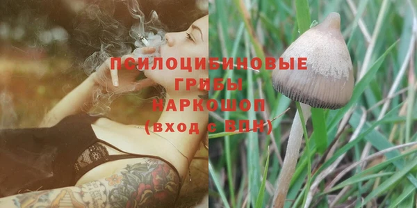 соль курить ск Нязепетровск