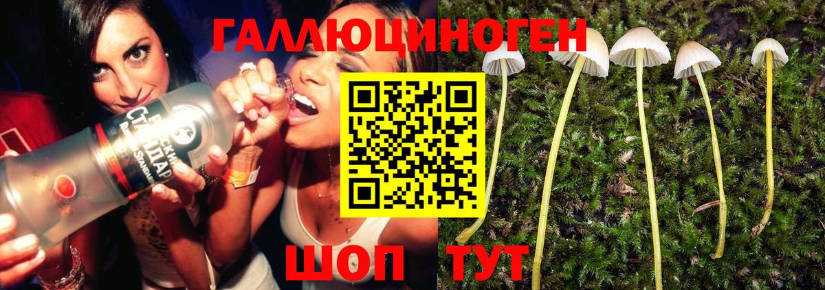 Заводоуковск  Псилоцибиновые грибы MAGIC MUSHROOMS  Псилоцибиновые грибы мухоморы  Вход с VPN 
