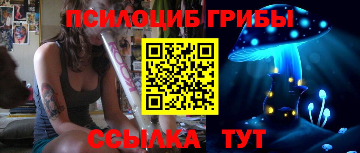Псилоцибиновые грибы прущие грибы Заводоуковск